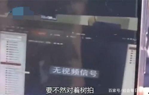 娱乐吃瓜酱偷电瓶