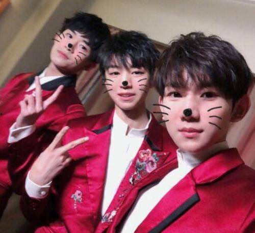 王源吃瓜娱乐完整版,全程精彩瞬间回顾